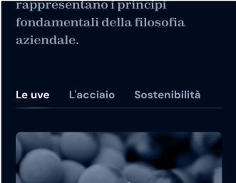 Philosophy section of DiBarro website